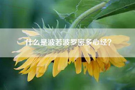 什么是波若波罗密多心经？