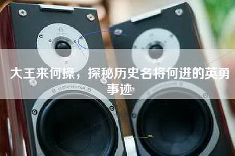 大王来何操，探秘历史名将何进的英勇事迹