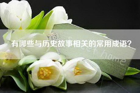 有哪些与历史故事相关的常用成语？