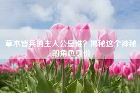 草木皆兵的主人公是谁？揭秘这个神秘的角色身份