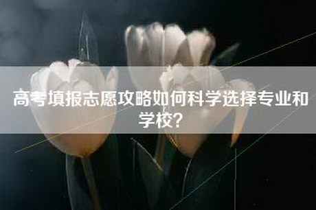 高考填报志愿攻略如何科学选择专业和学校？