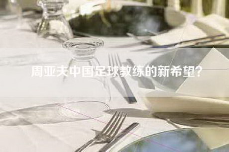周亚夫中国足球教练的新希望？