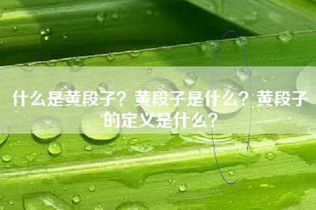 什么是黄段子？黄段子是什么？黄段子的定义是什么？