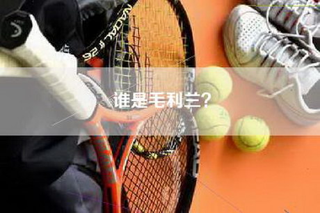 谁是毛利兰？