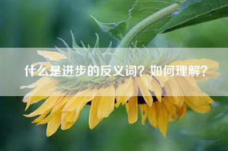 什么是进步的反义词？如何理解？