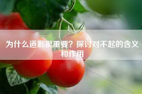 为什么道歉很重要？探讨对不起的含义和作用