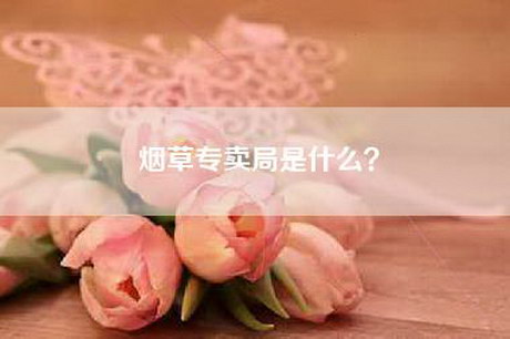 烟草专卖局是什么？