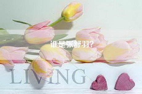 谁是张舒羽？
