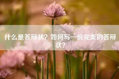 什么是答辩状？如何写一份完美的答辩状？
