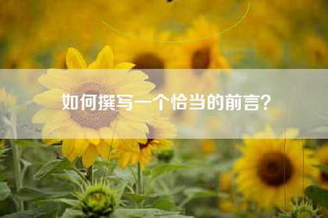如何撰写一个恰当的前言？
