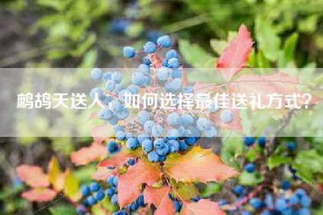 鹧鸪天送人，如何选择最佳送礼方式？