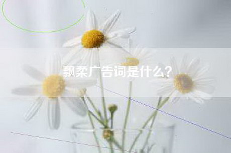 飘柔广告词是什么？