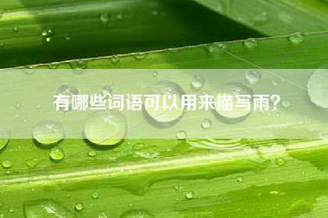 有哪些词语可以用来描写雨？