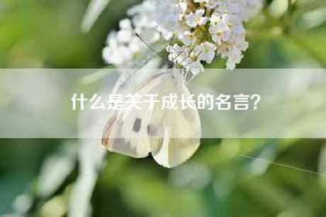 什么是关于成长的名言？