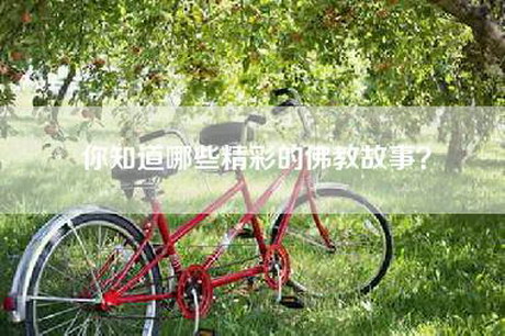 你知道哪些精彩的佛教故事？