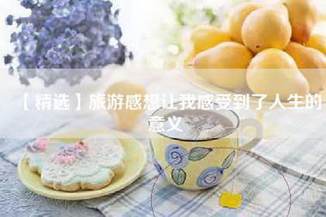 【精选】旅游感想让我感受到了人生的意义