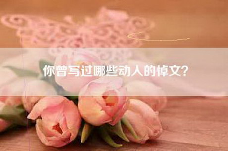 你曾写过哪些动人的悼文？