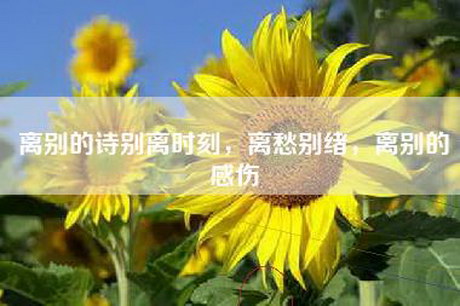 离别的诗别离时刻，离愁别绪，离别的感伤