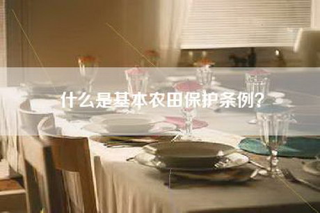 什么是基本农田保护条例？