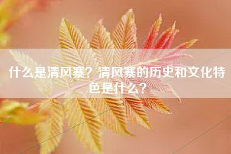 什么是清风寨？清风寨的历史和文化特色是什么？