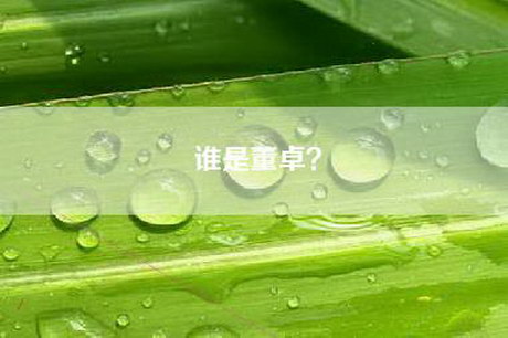 谁是董卓？