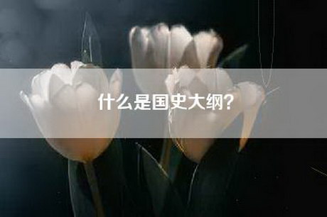 什么是国史大纲？
