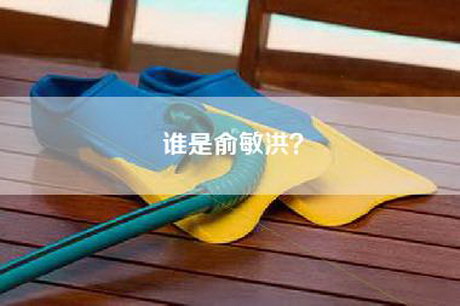 谁是俞敏洪？