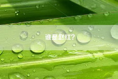 谁是赵红？