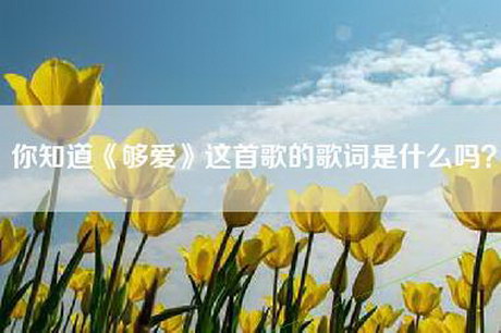 你知道《够爱》这首歌的歌词是什么吗？
