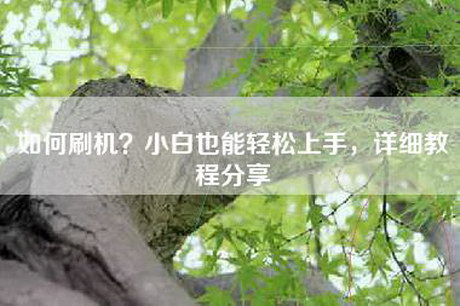 如何刷机？小白也能轻松上手，详细教程分享