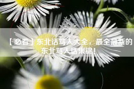 【必看】东北话骂人大全，最全最新的东北骂人话集锦！