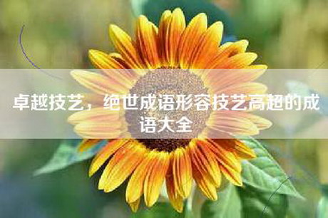 卓越技艺，绝世成语形容技艺高超的成语大全