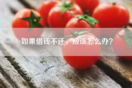 如果借钱不还，应该怎么办？