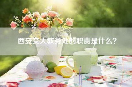 西安交大教务处的职责是什么？