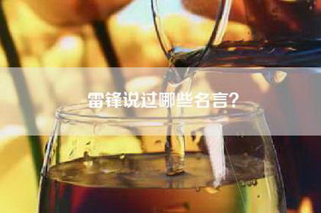 雷锋说过哪些名言？
