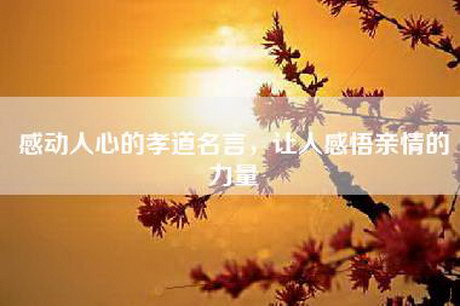 感动人心的孝道名言，让人感悟亲情的力量