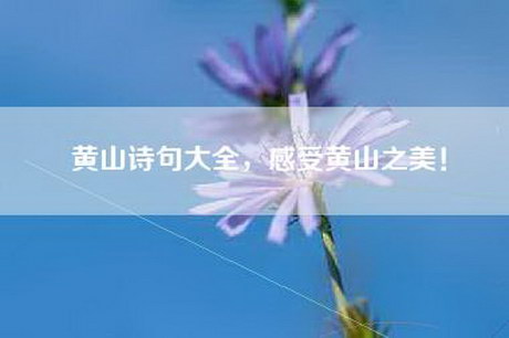 黄山诗句大全，感受黄山之美！