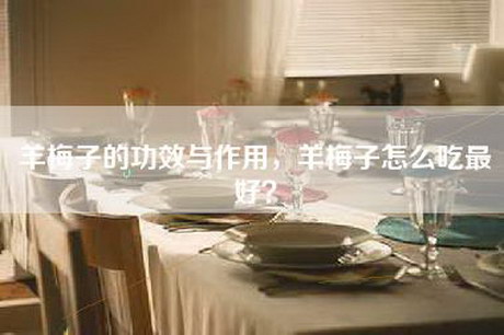 羊梅子的功效与作用，羊梅子怎么吃最好？