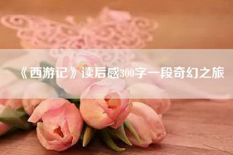 《西游记》读后感300字一段奇幻之旅