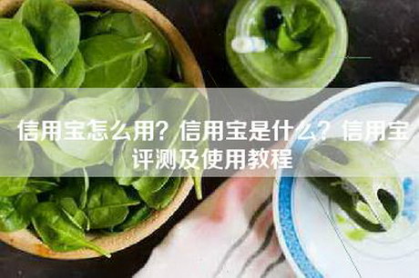 信用宝怎么用？信用宝是什么？信用宝评测及使用教程