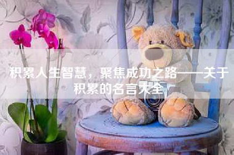 积累人生智慧，聚焦成功之路——关于积累的名言大全