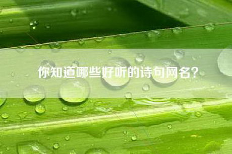 你知道哪些好听的诗句网名？