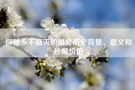 探秘永不磨灭的番号历史背景、意义和珍藏价值