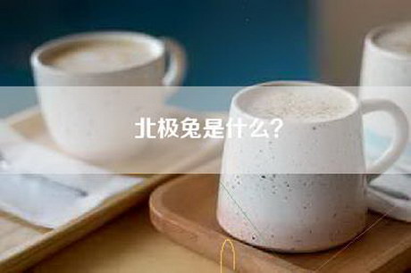 北极兔是什么？