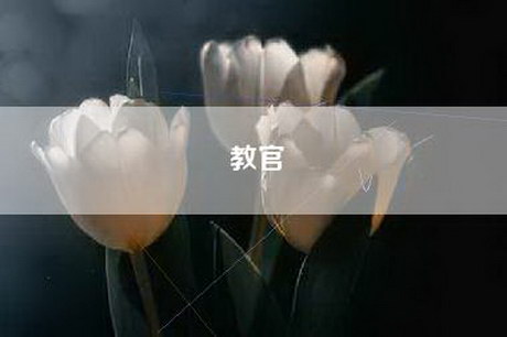教官