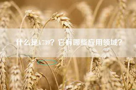 什么是k739？它有哪些应用领域？