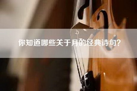 你知道哪些关于月的经典诗句？
