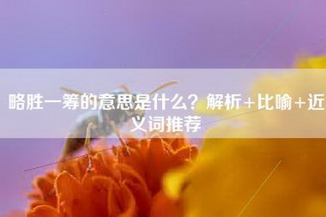 略胜一筹的意思是什么？解析+比喻+近义词推荐