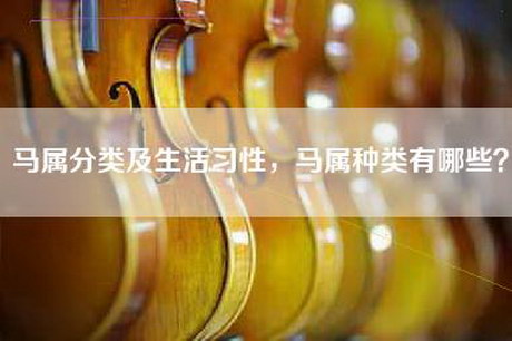 马属分类及生活习性，马属种类有哪些？