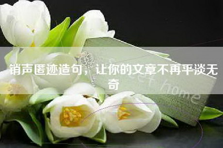 销声匿迹造句，让你的文章不再平淡无奇